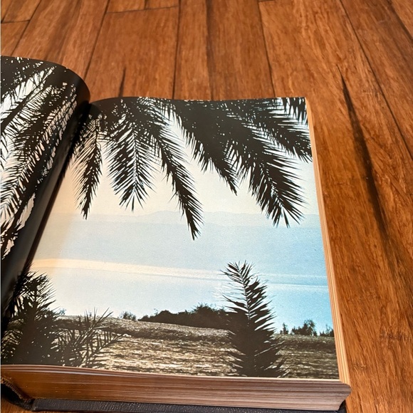 The Living Bible Tyndale 1973 Leather Paraphrased & Illustrated - Picture 14 of 16